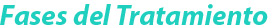 Fases del Tratamiento