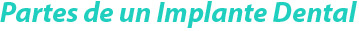 Partes de un Implante